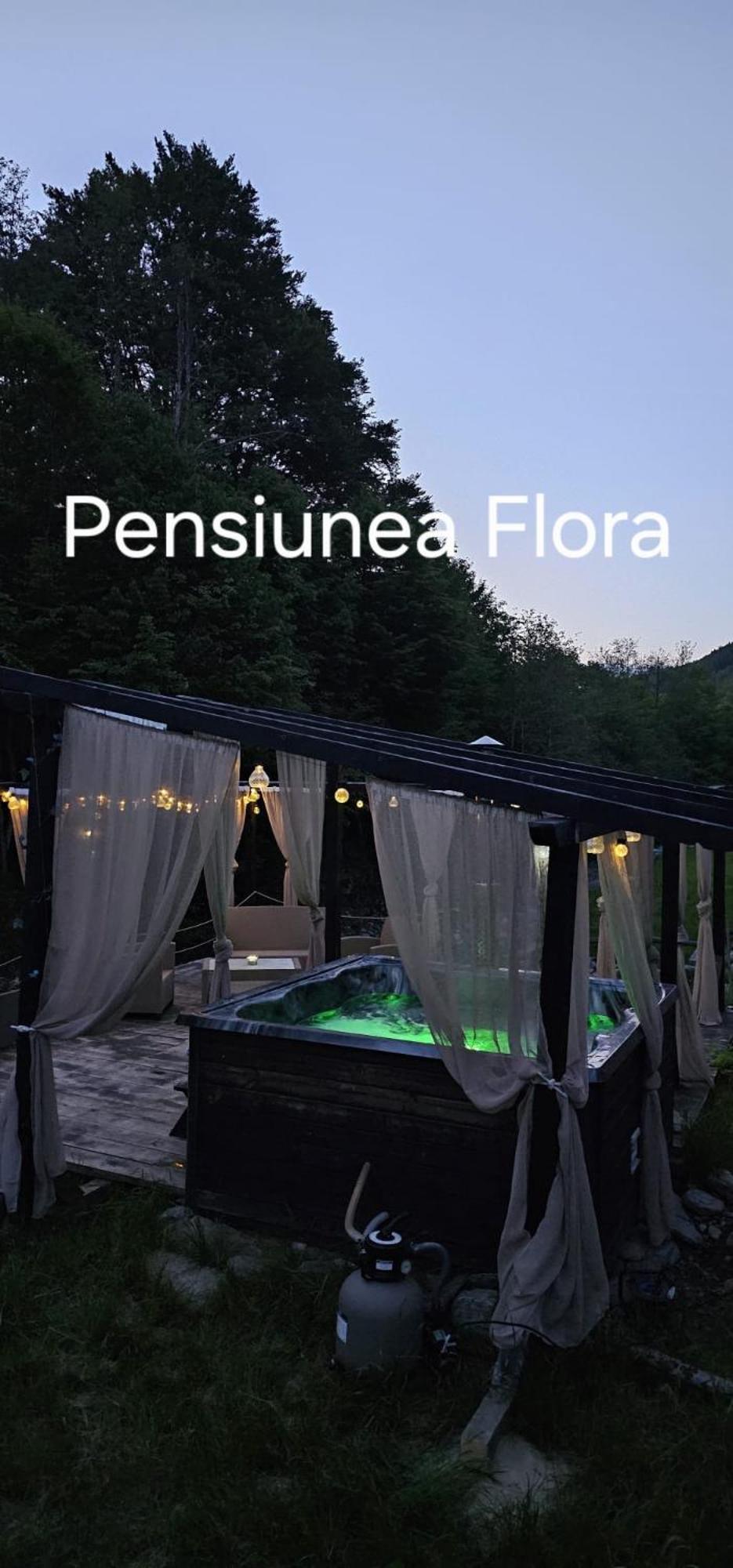 Pensiunea Flora Cîrţişoara Dış mekan fotoğraf